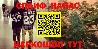 МДПВ Можайск