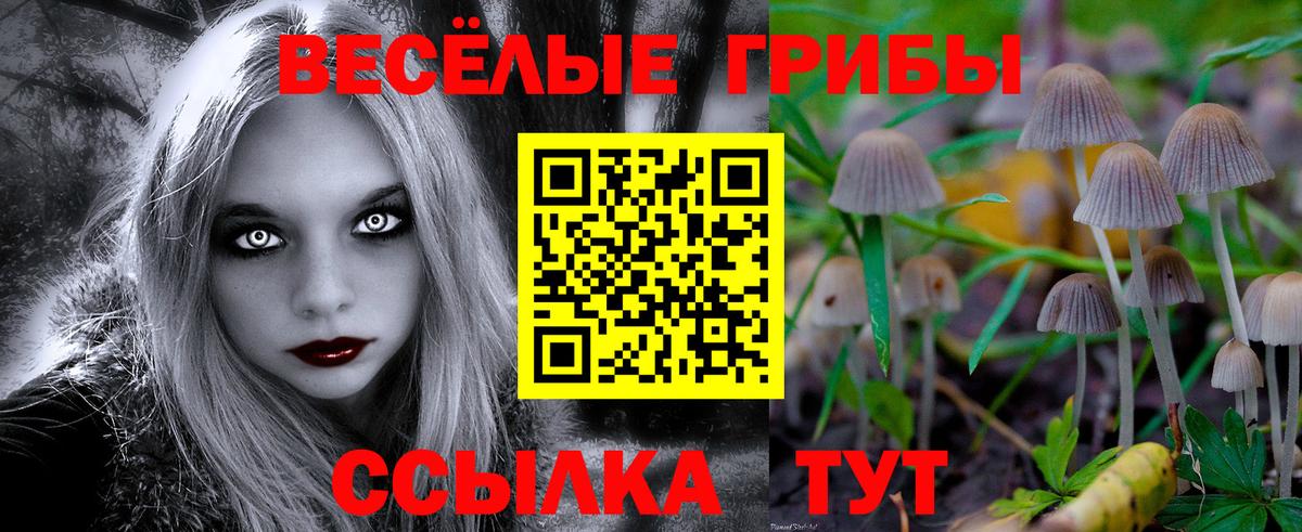 Псилоцибиновые грибы прущие грибы Чебаркуль