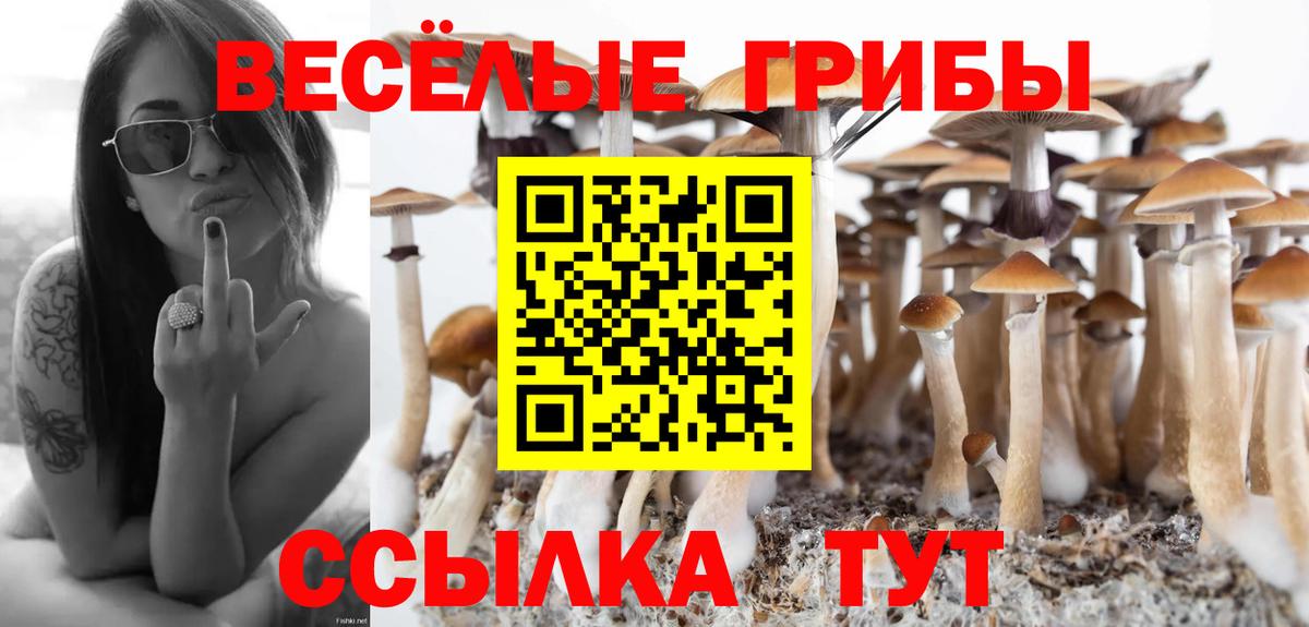 Галлюциногенные грибы MAGIC MUSHROOMS  Вход с VPN  даркнет сайт  Псилоцибиновые грибы Magic Shrooms  Чебаркуль 